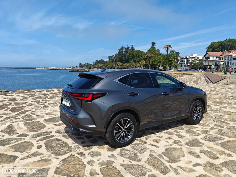 Lexus NX 350h Executive Plus - 11