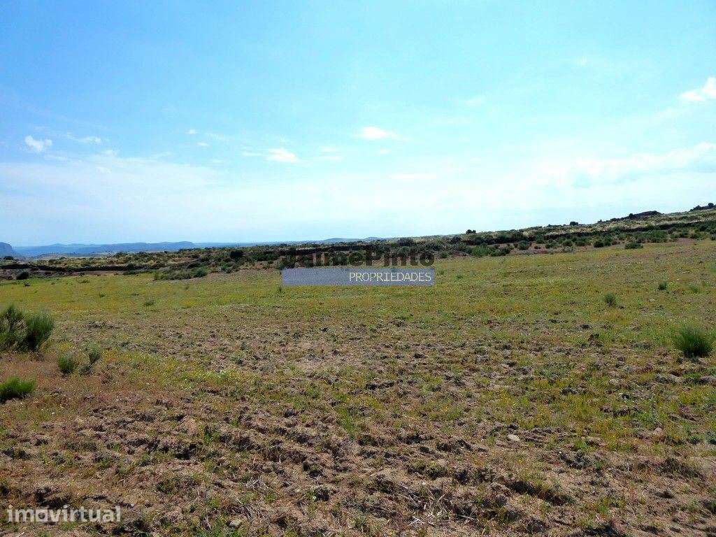 250 000 m2 agrícolas e casas em ruínas. Portugal, F. C. Rodrigo - Grande imagem: 2/9