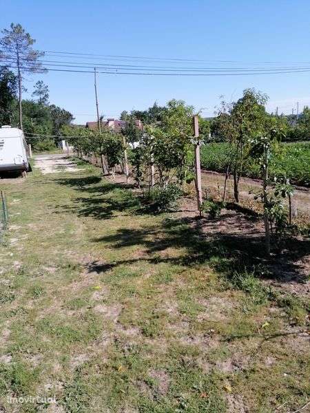 Terreno e casa móvel de luxo - Grande imagem: 2/10