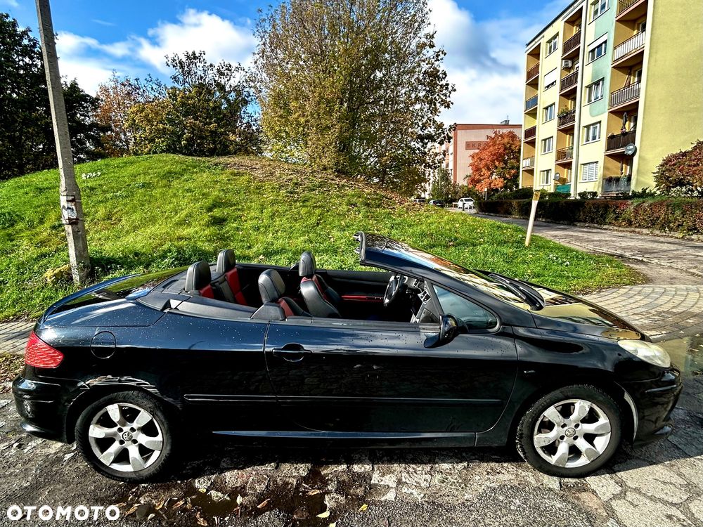 Peugeot 307 CC 2.0 - 10