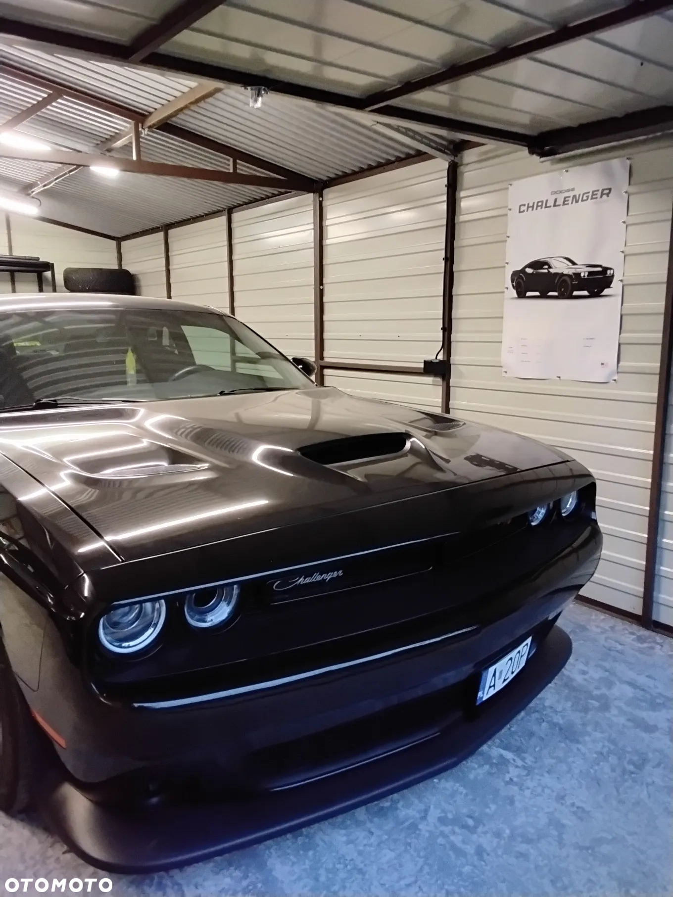 Dodge Challenger 6.4 Scat Pack - 12