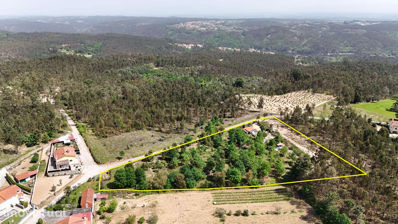 Quinta acolhedora em Gestosa - Santa Comba Dão - Grande imagem: 2/6