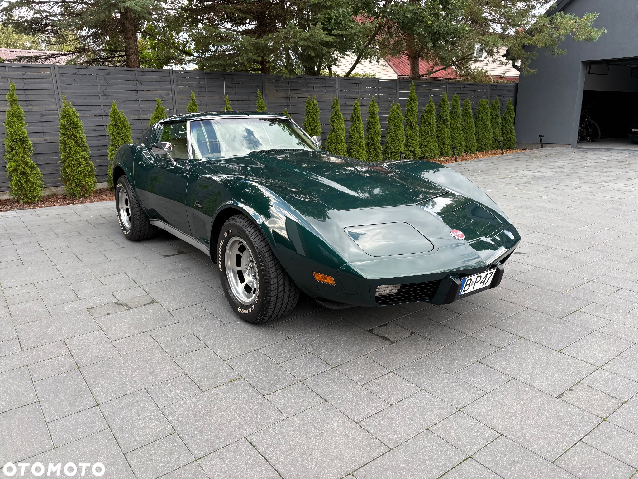 Chevrolet Corvette - 8