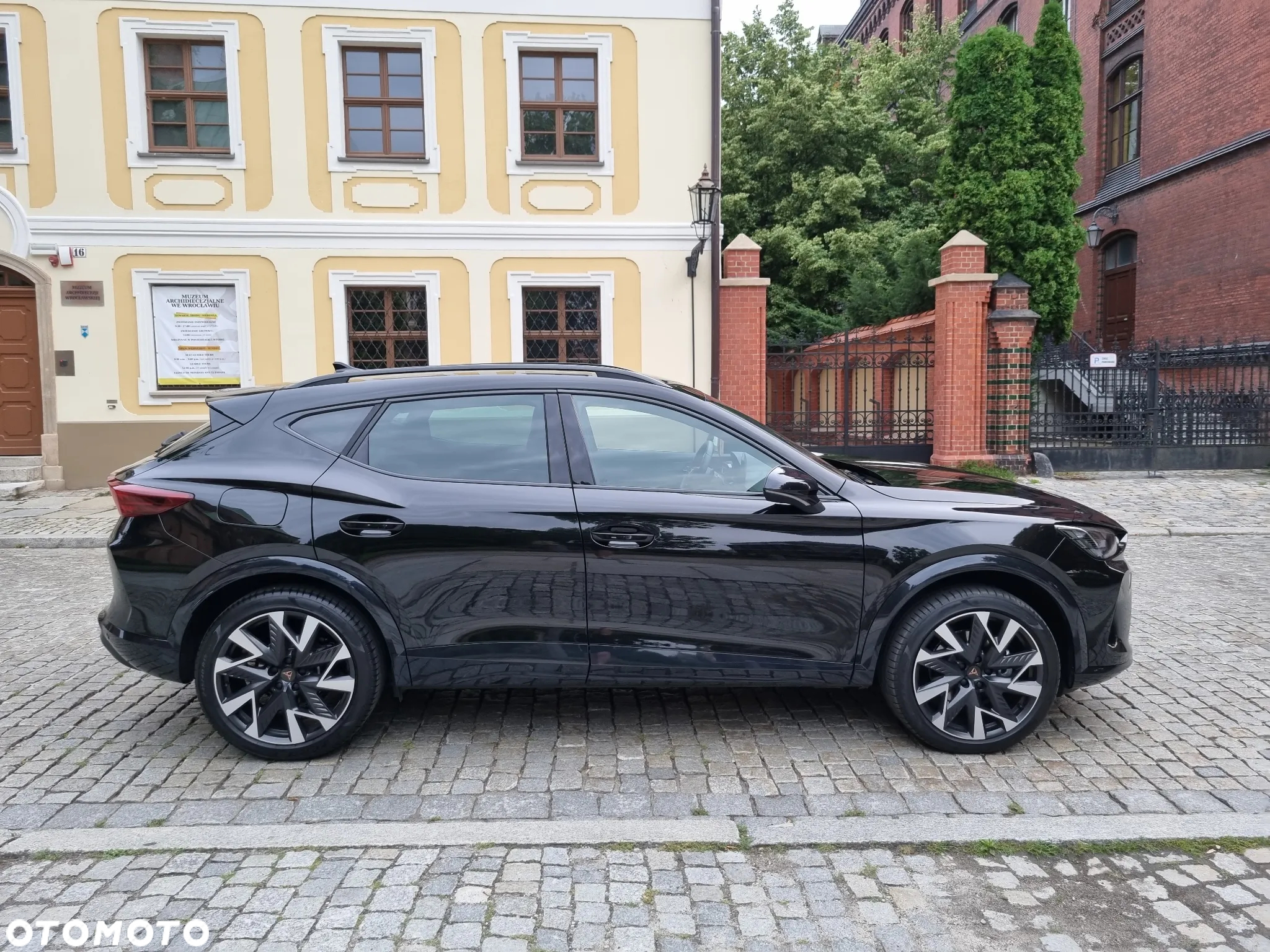Cupra Formentor 2.0 TDI DSG - 22