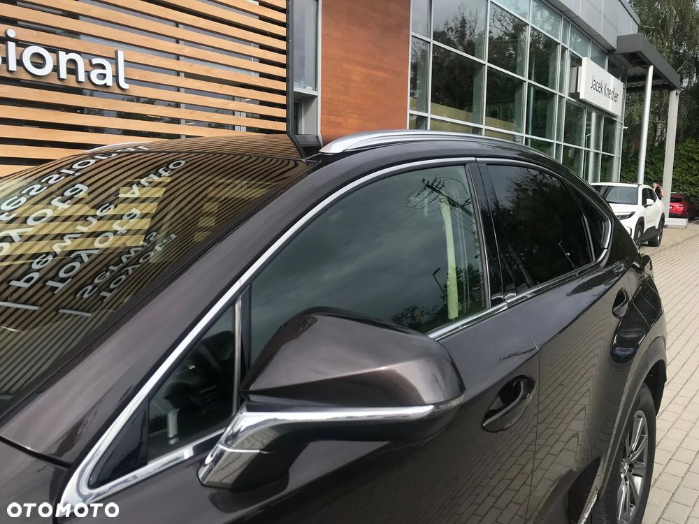 Lexus NX 300h Elite AWD - 18