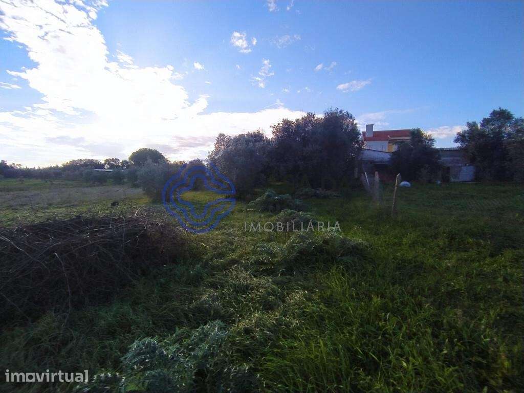 Terreno com ruína para reconstruir na cidade de Tomar no Centro de Por - Grande imagem: 5/37