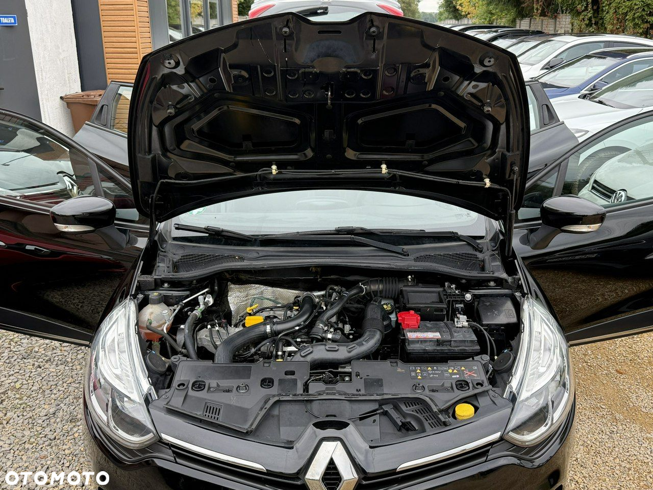 Renault Clio - 31