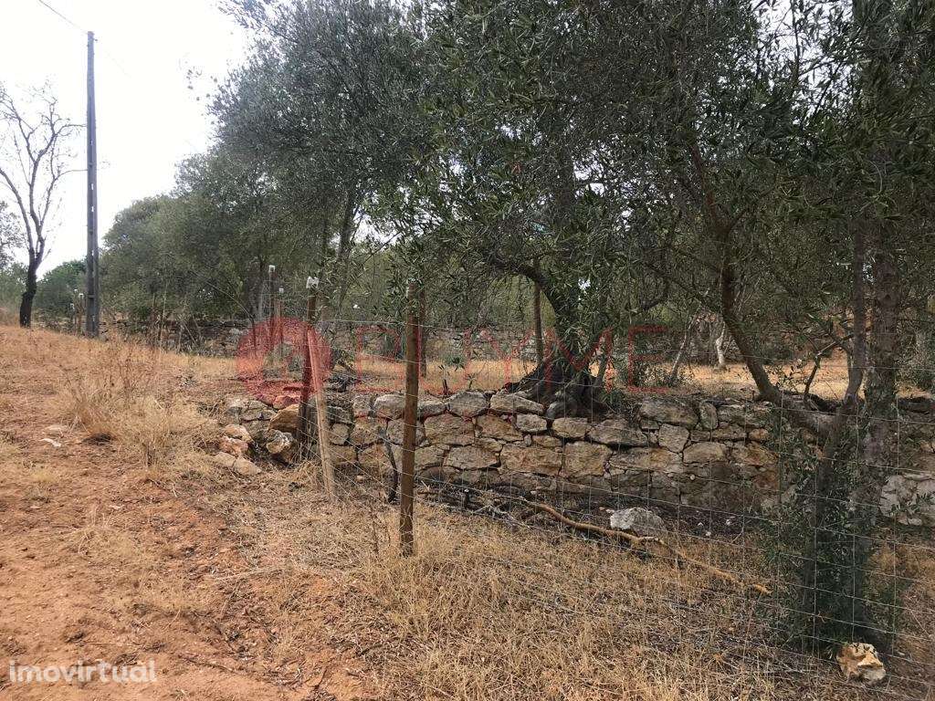 Terreno Misto com Potencial Residencial e Rústico em Boliqueime - Grande imagem: 4/16