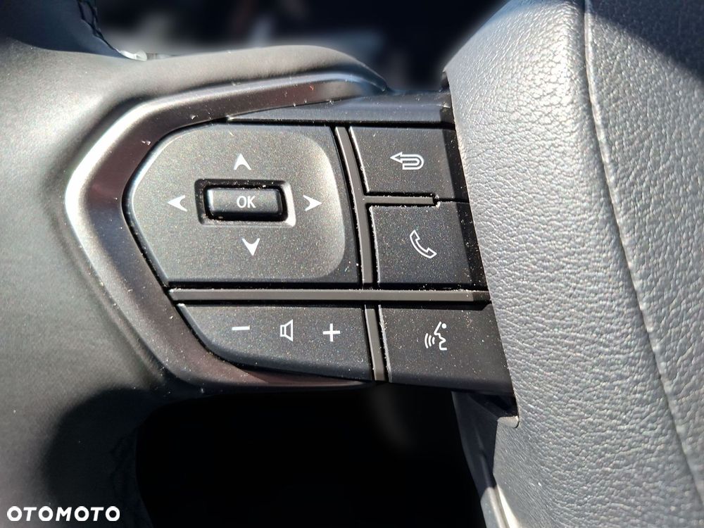 Lexus RX - 32