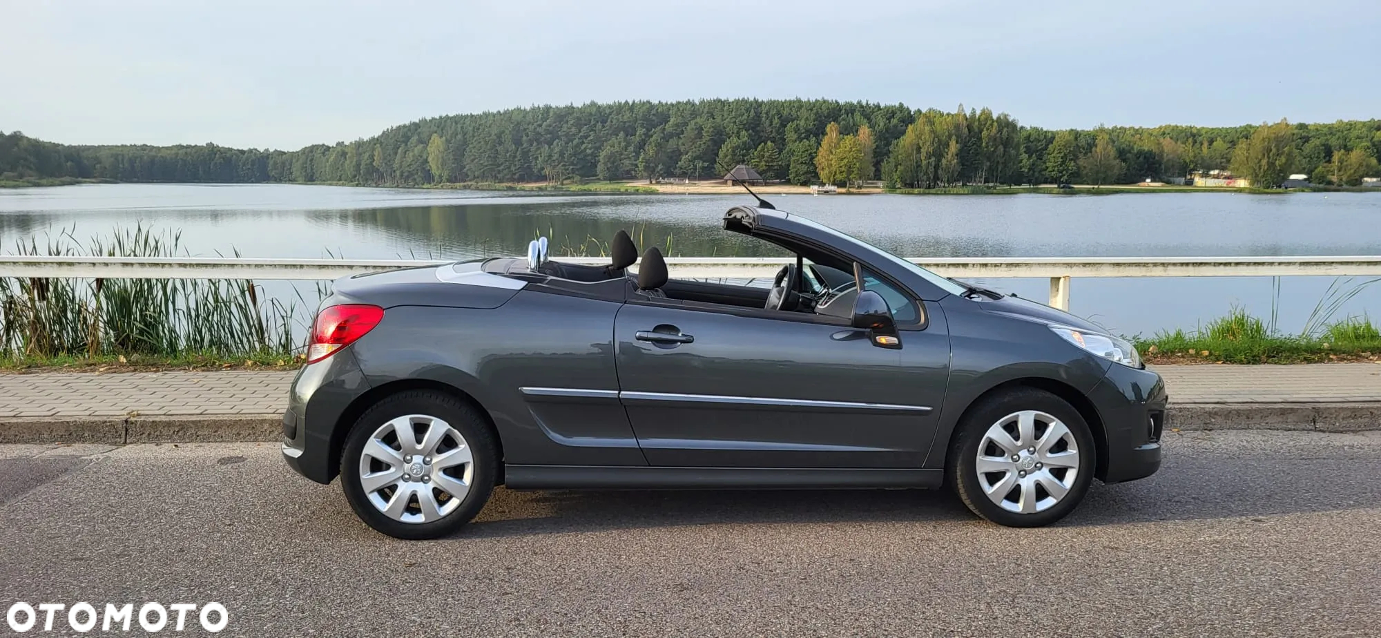 Peugeot 207 - 10