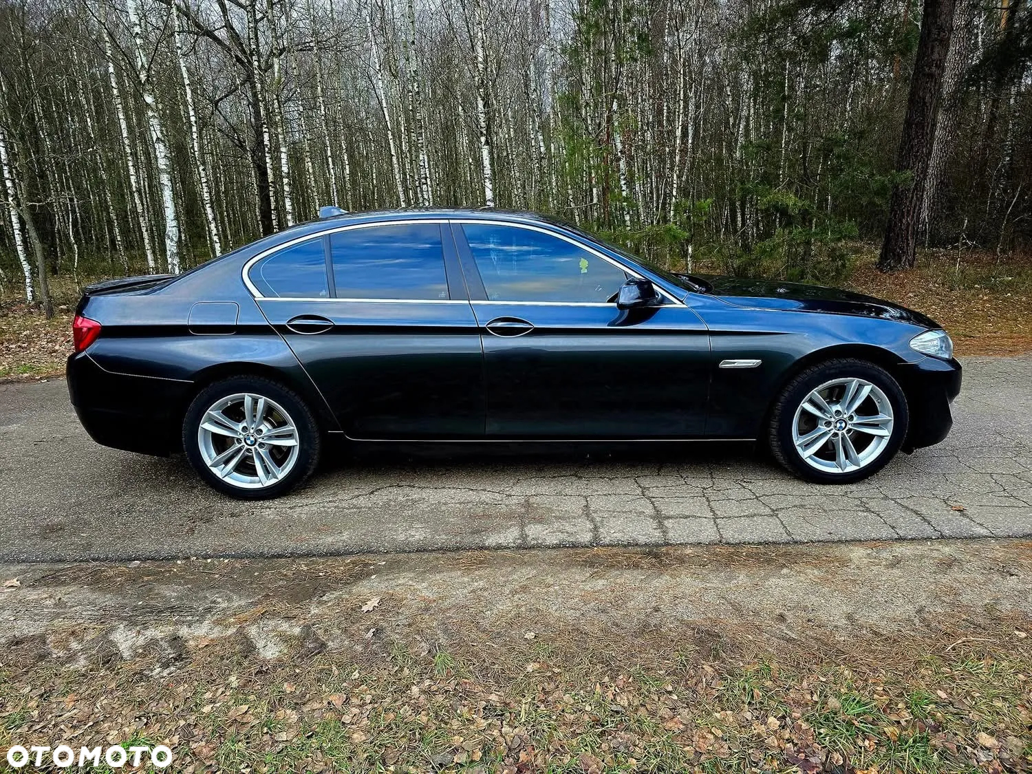 BMW Seria 5 - 12