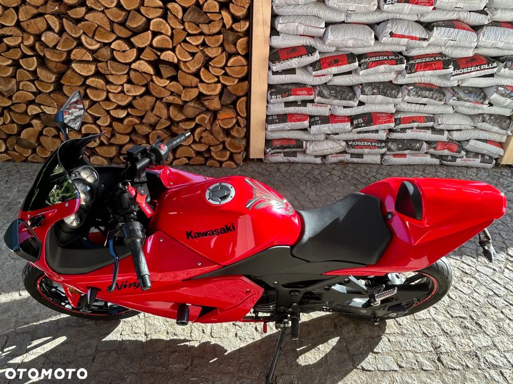 Kawasaki Ninja 250R - 3