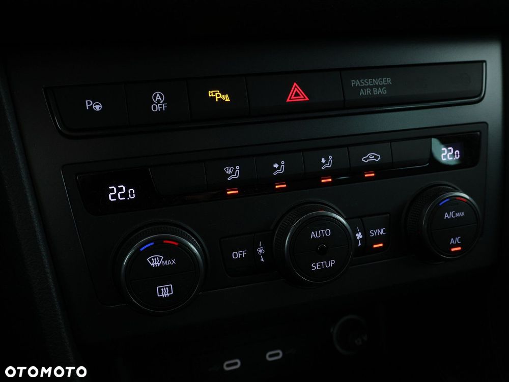 Cupra Ateca - 20