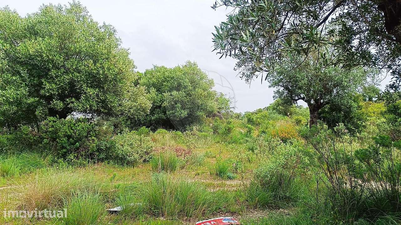 Terreno  para venda - Grande imagem: 3/16
