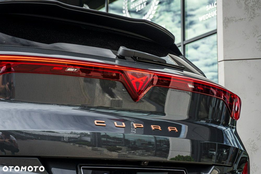 Cupra Terramar - 11