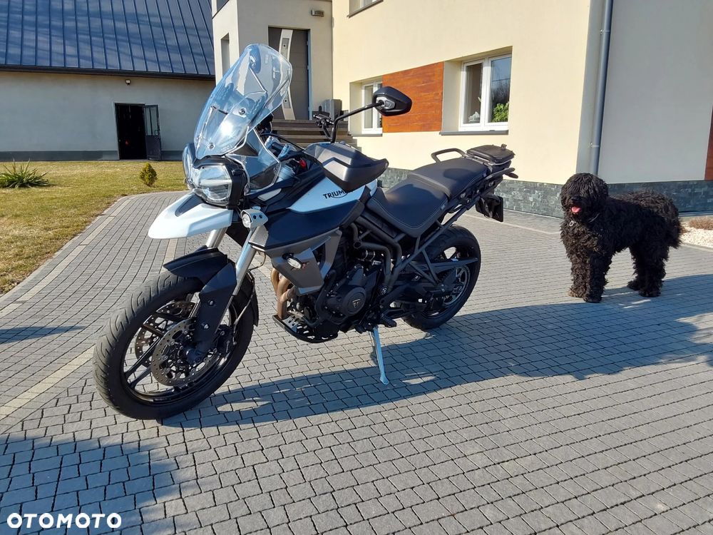 Triumph Tiger - 7
