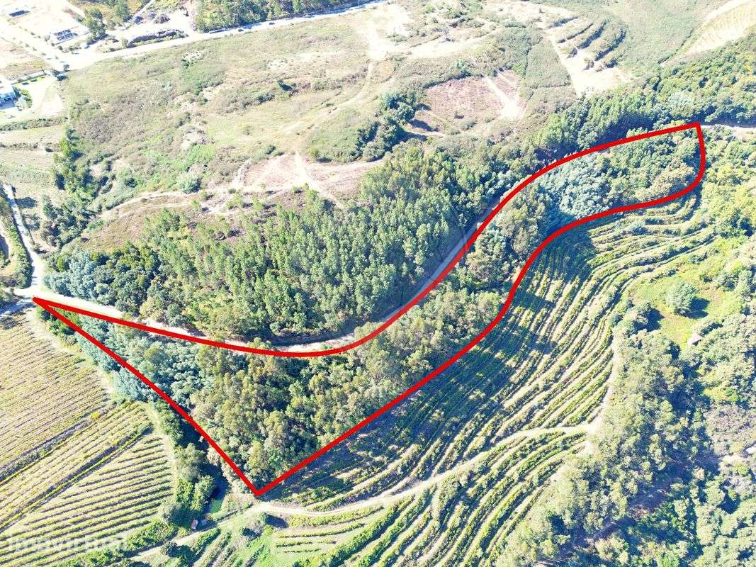 Terreno  para venda - Grande imagem: 2/6