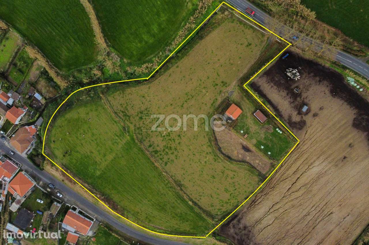 Terreno Rústico de elevado potencial na freguesia das Feteiras - Grande imagem: 4/20