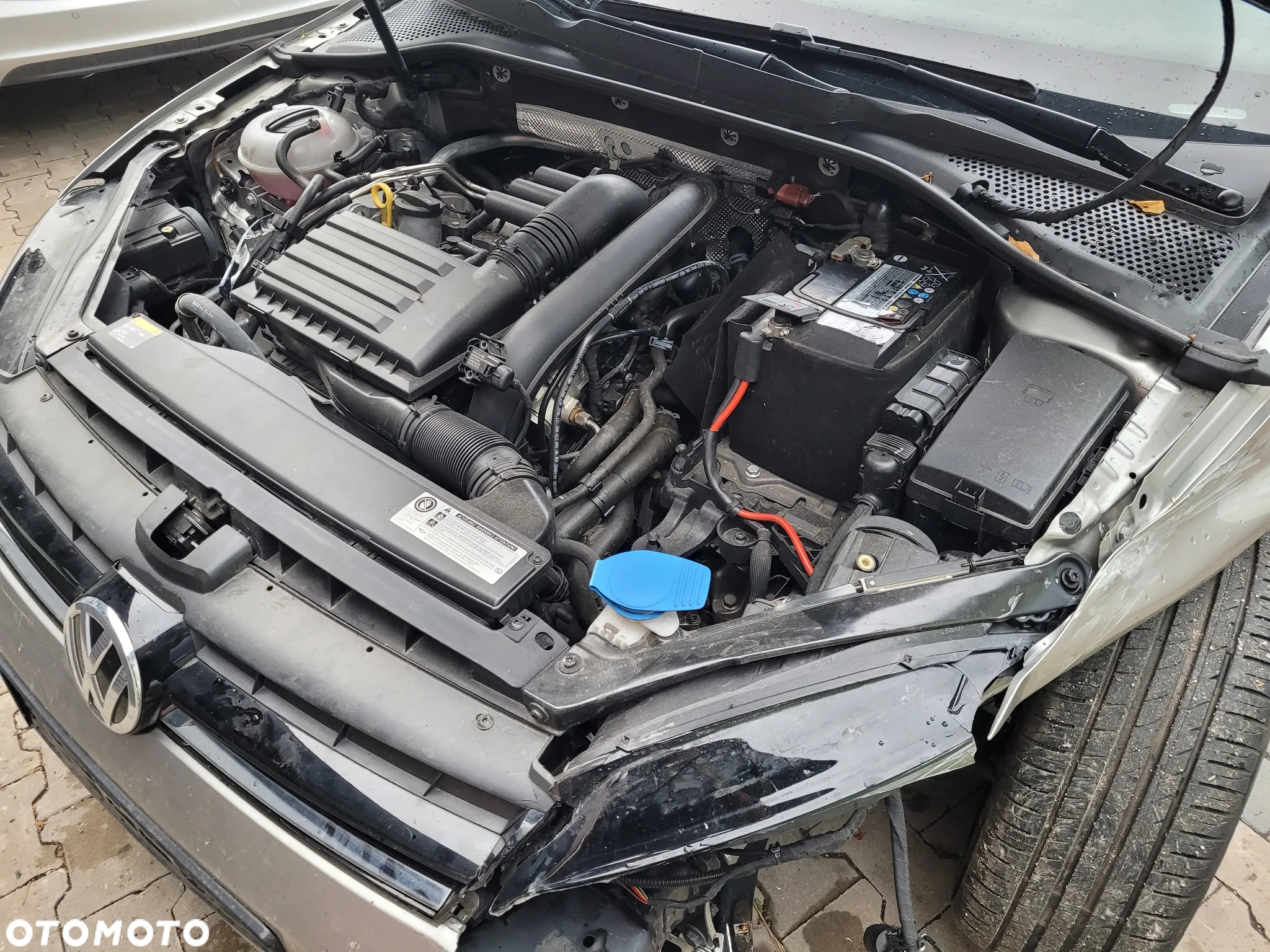 Volkswagen Golf - 7