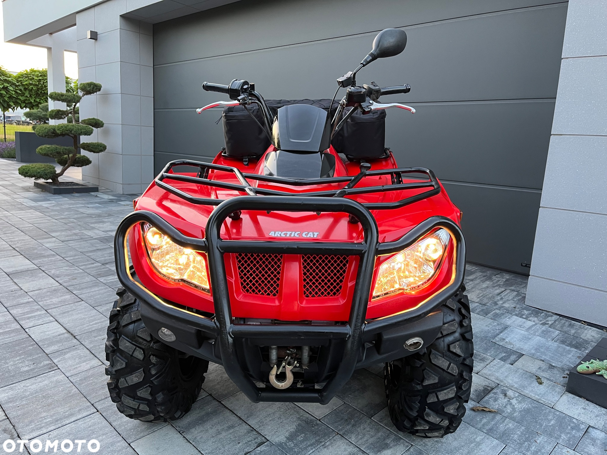 Arctic Cat Inny