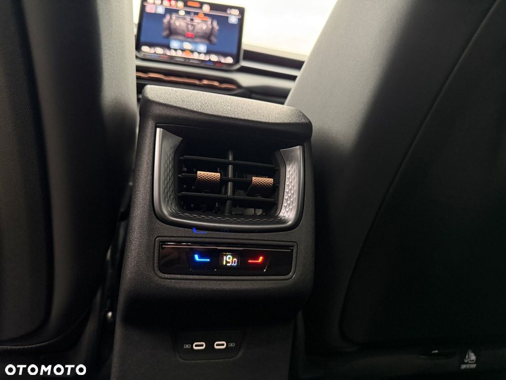 Cupra Terramar 2.0 TSI 4Drive DSG - 34