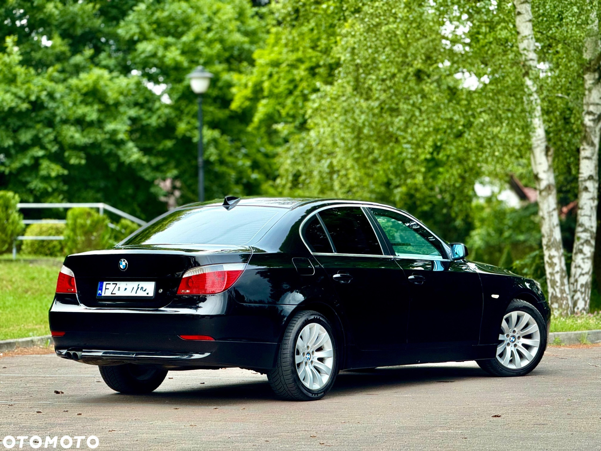 BMW Seria 5 520i - 18