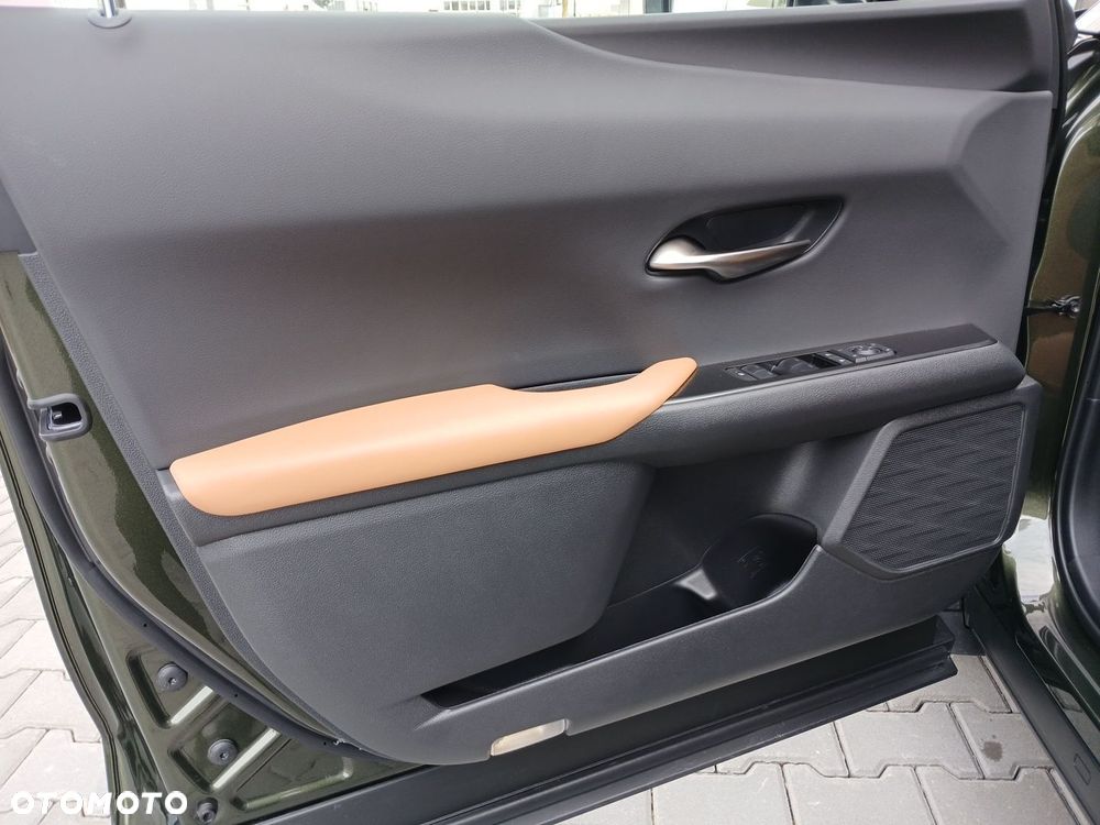 Lexus UX 300h F Sport Design - 22