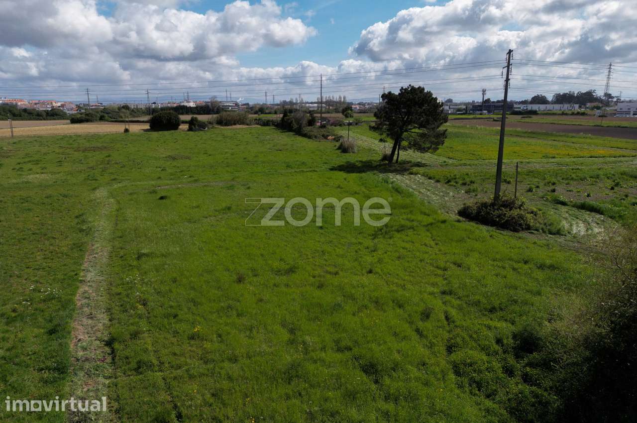 Terreno em Murta - Aveiro 2000m2 - Grande imagem: 4/4