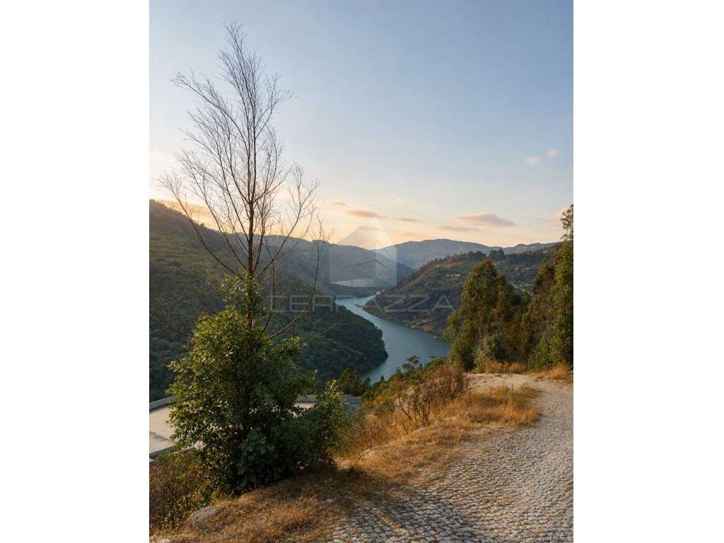 Quinta em Marco de Canaveses (22 artigos) junto ao Rio Douro - Grande imagem: 4/10