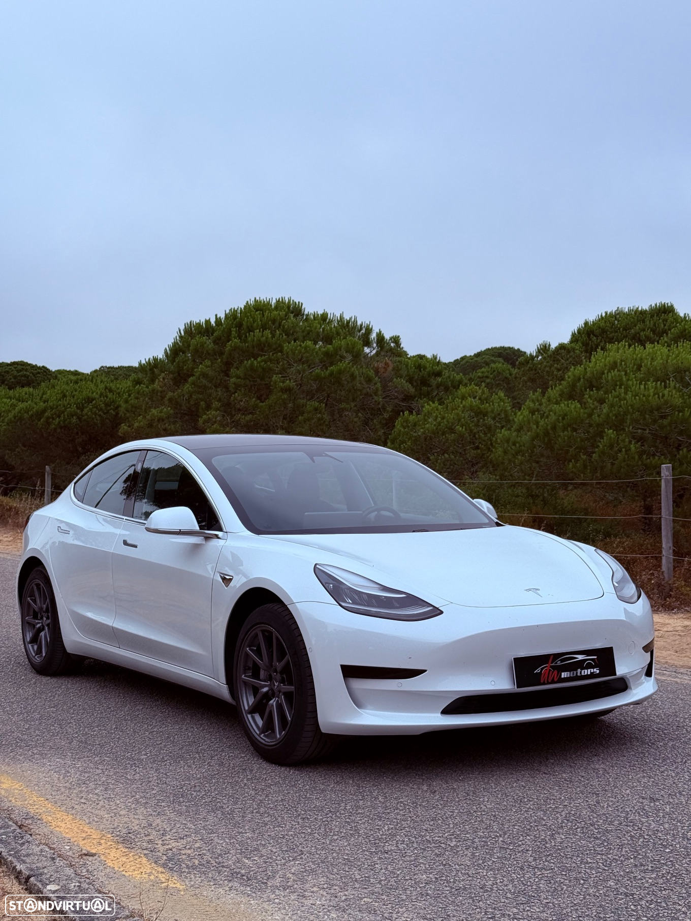 Tesla Model 3 Standard RWD Plus - 6