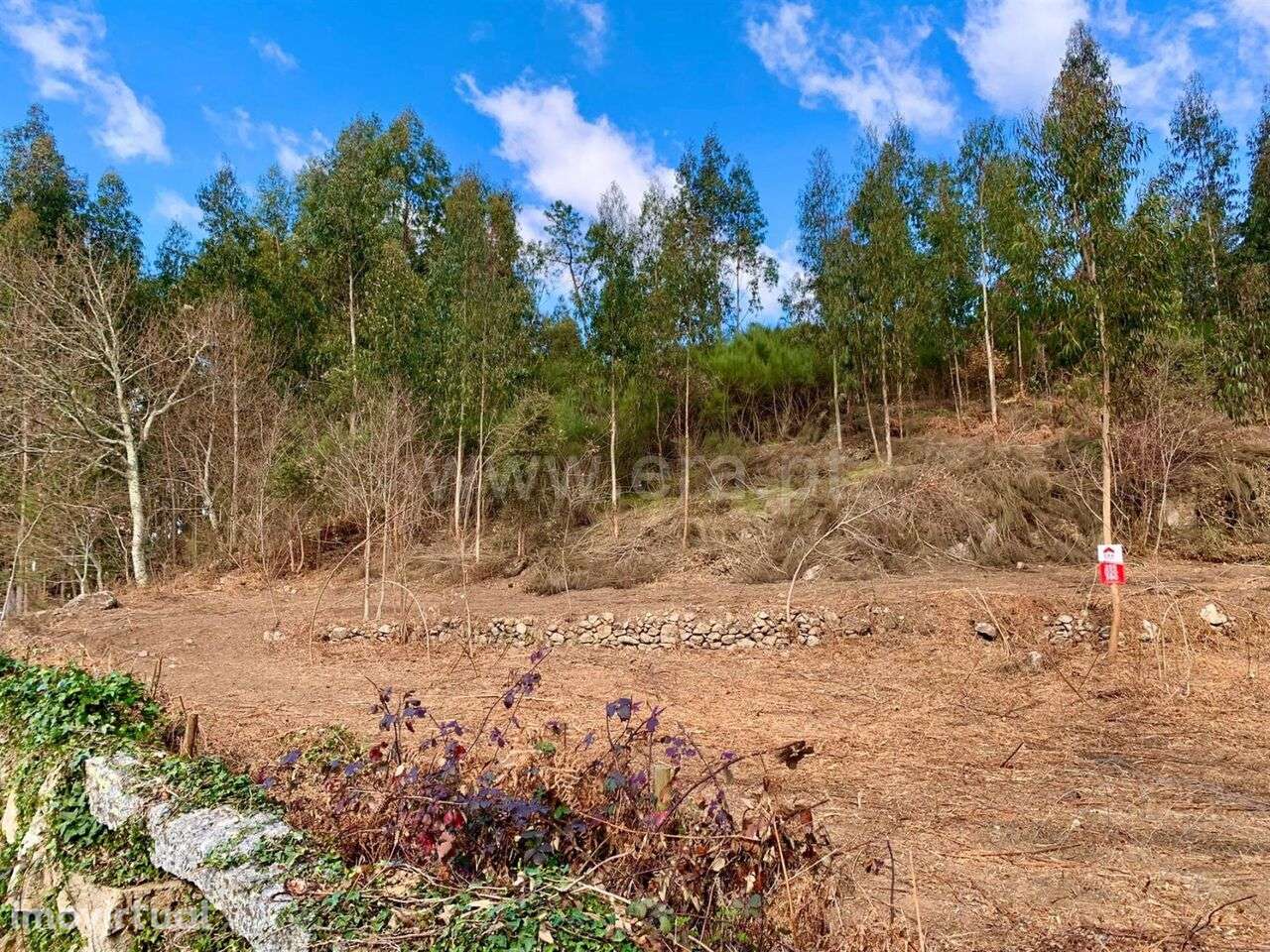 Terreno / Cinfães, Fornelos - Grande imagem: 5/8
