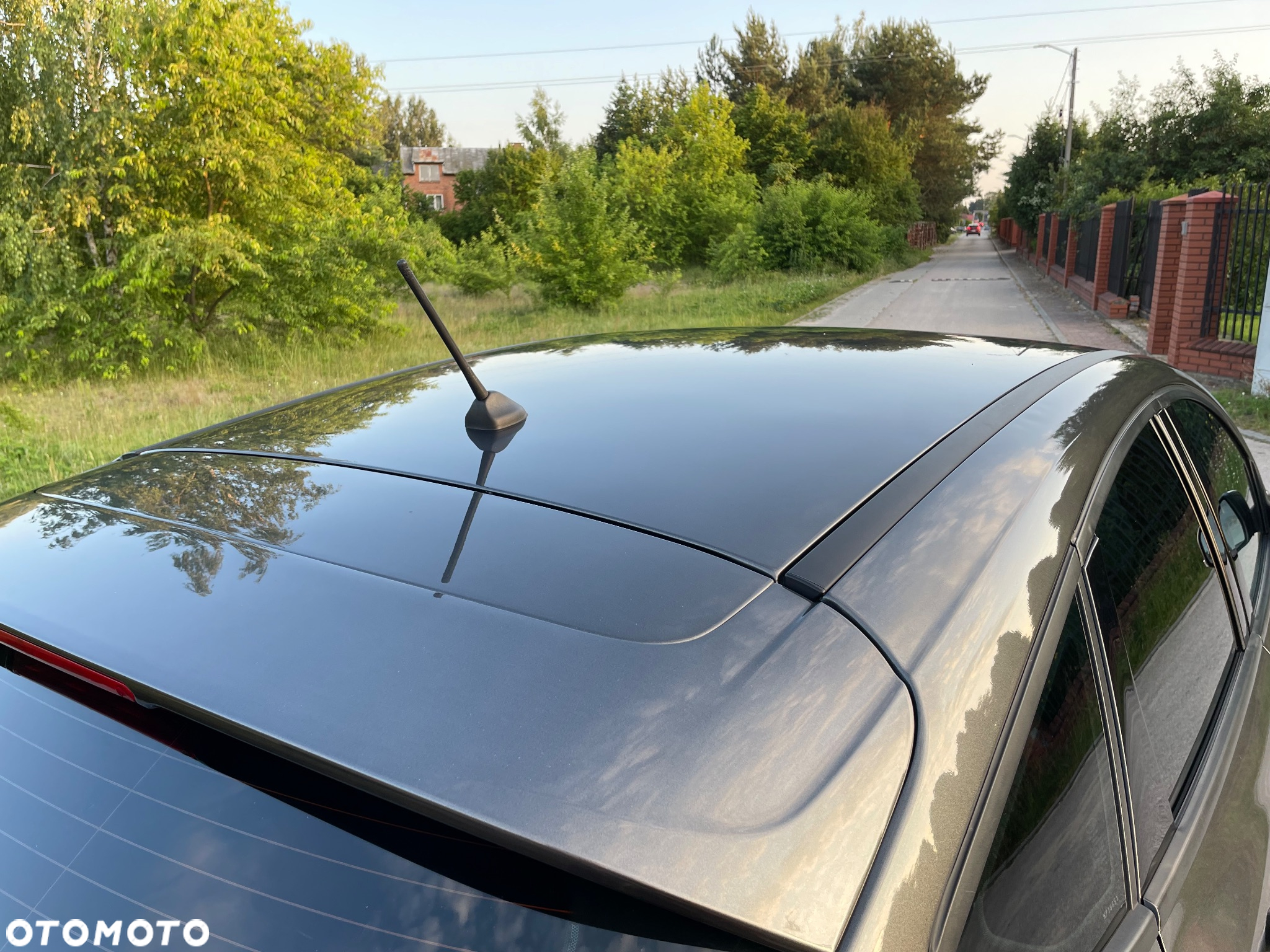 Ford Focus - 17