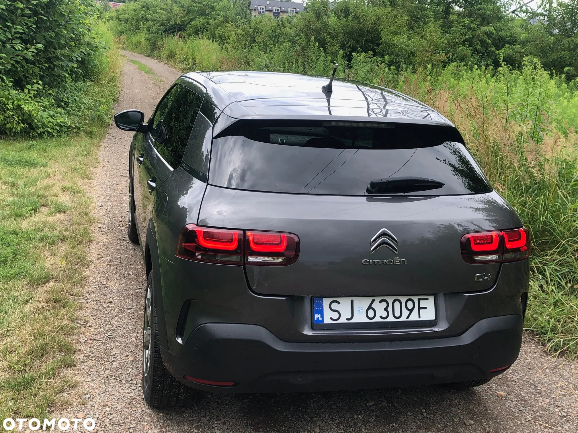 Citroën C4 Cactus BlueHDi 100 Stop&Start Feel Edition - 24