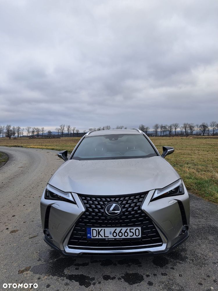 Lexus UX 200 GPF Business Edition 2WD - 1