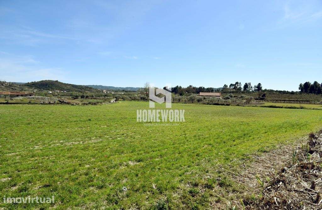 Quinta com Moradia T3 - Belmonte - Grande imagem: 2/30