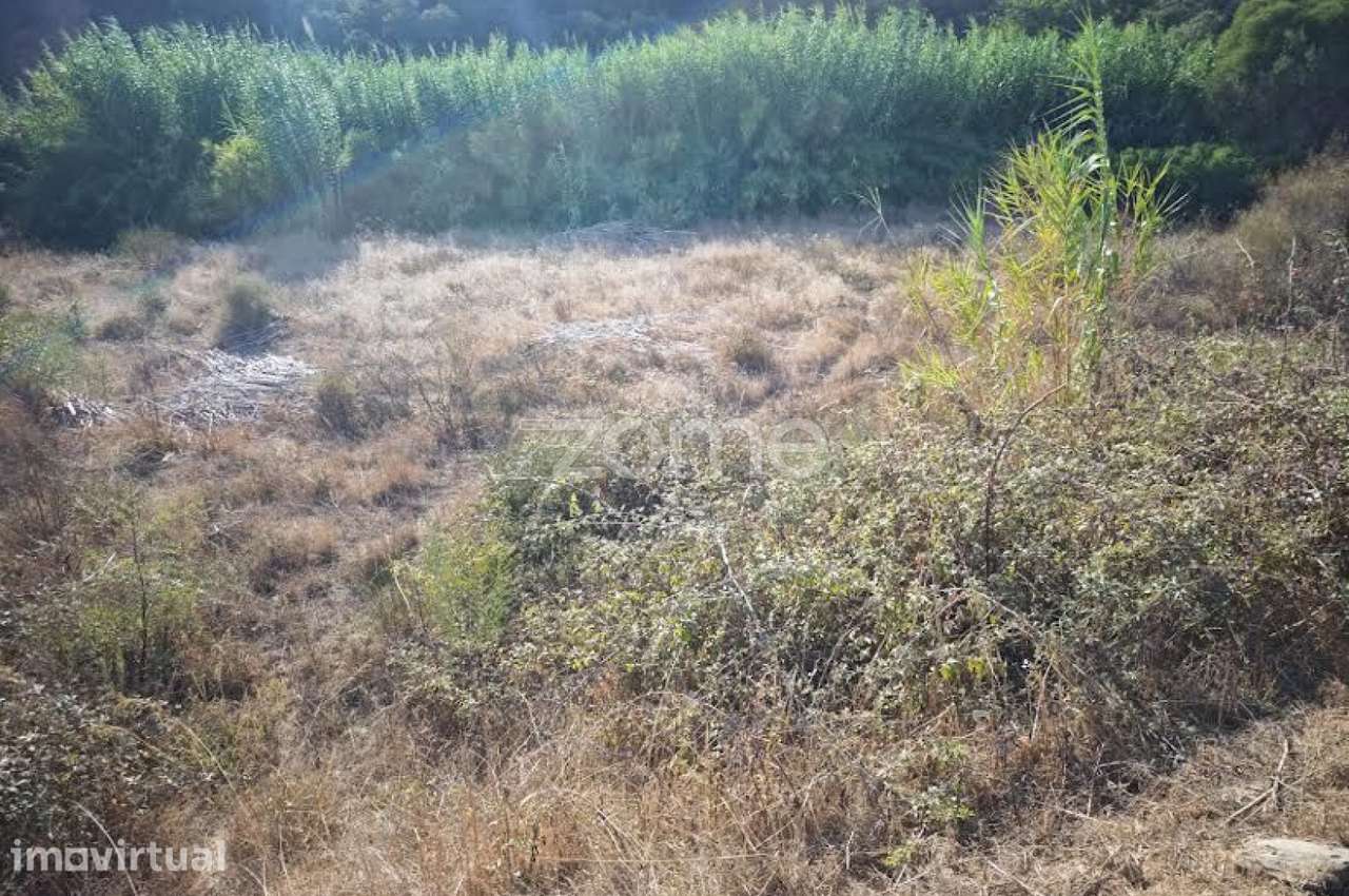 Terreno em Messines – Barranco do Vale Fontes |6.040m2 - Grande imagem: 4/16