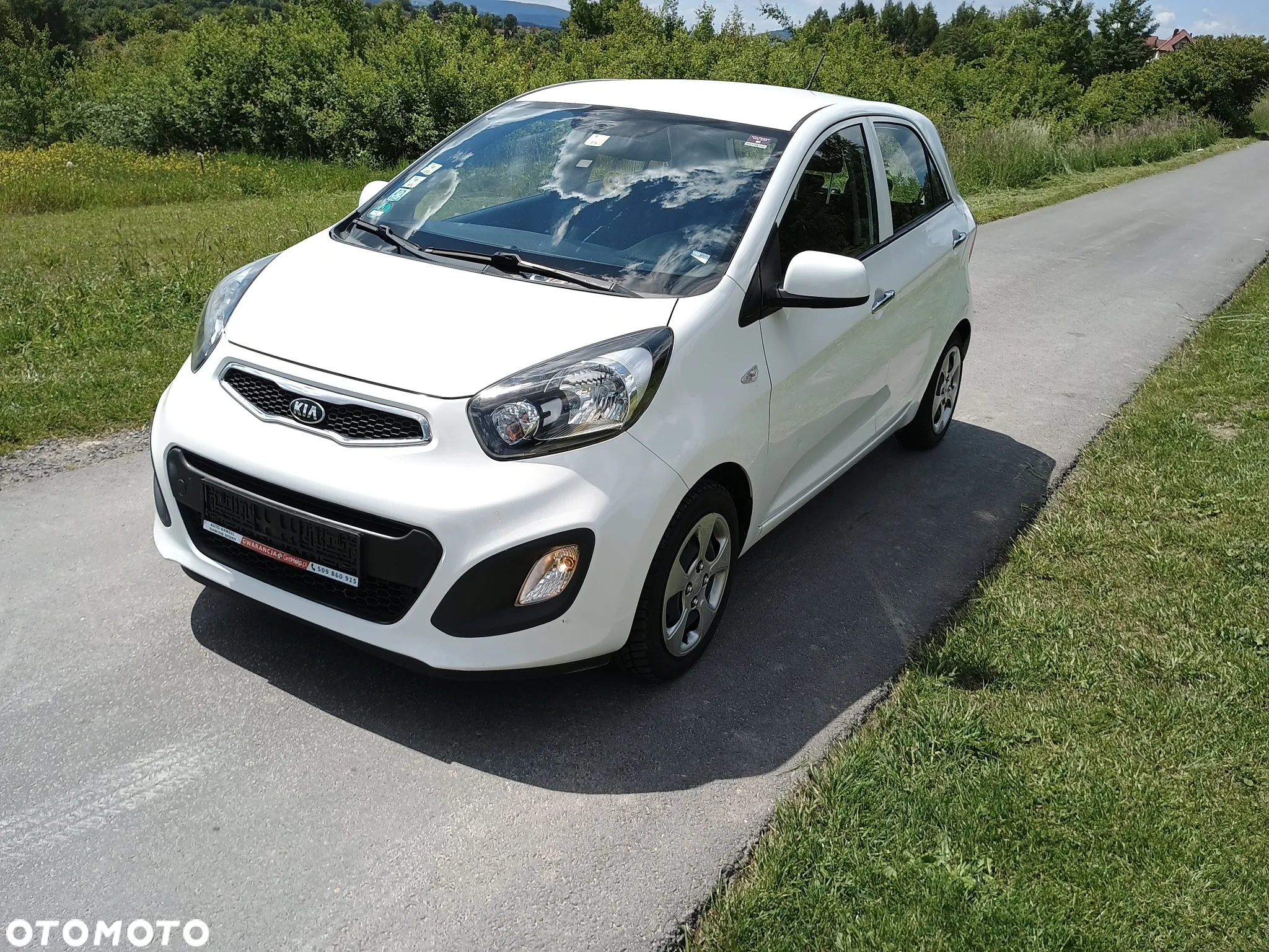 Kia Picanto 1.0 Business Line Plus - 7