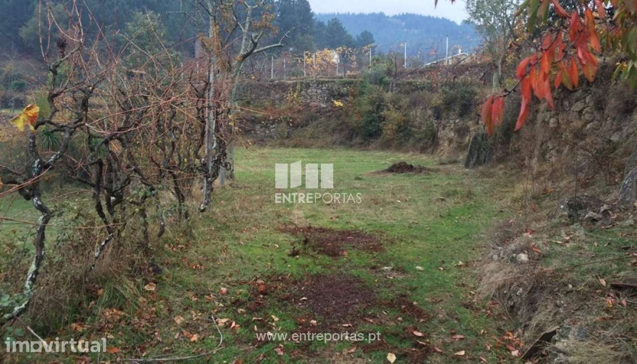 Venda Terreno, Cinfães - Grande imagem: 3/24