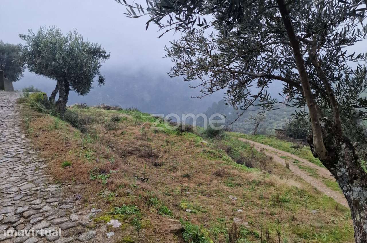 Terreno rustico , lugar do Plames, Murça - Grande imagem: 4/7