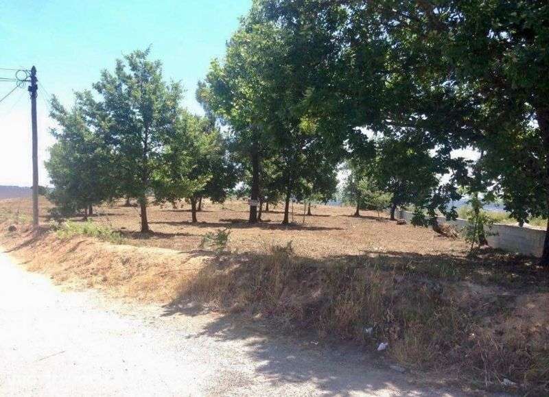 Terreno Vende-se / Retail Park Viseu - Grande imagem: 2/4