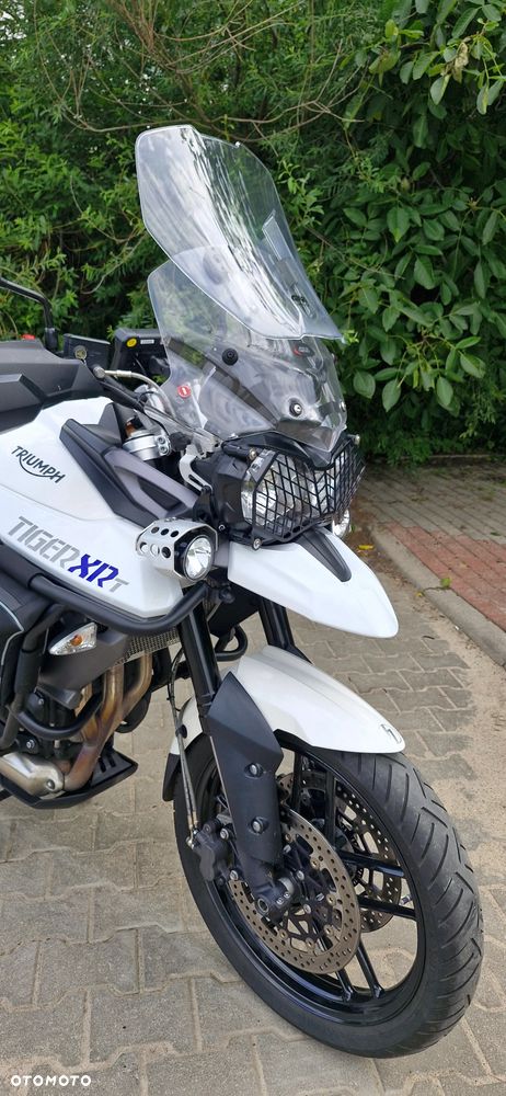 Triumph Tiger - 12
