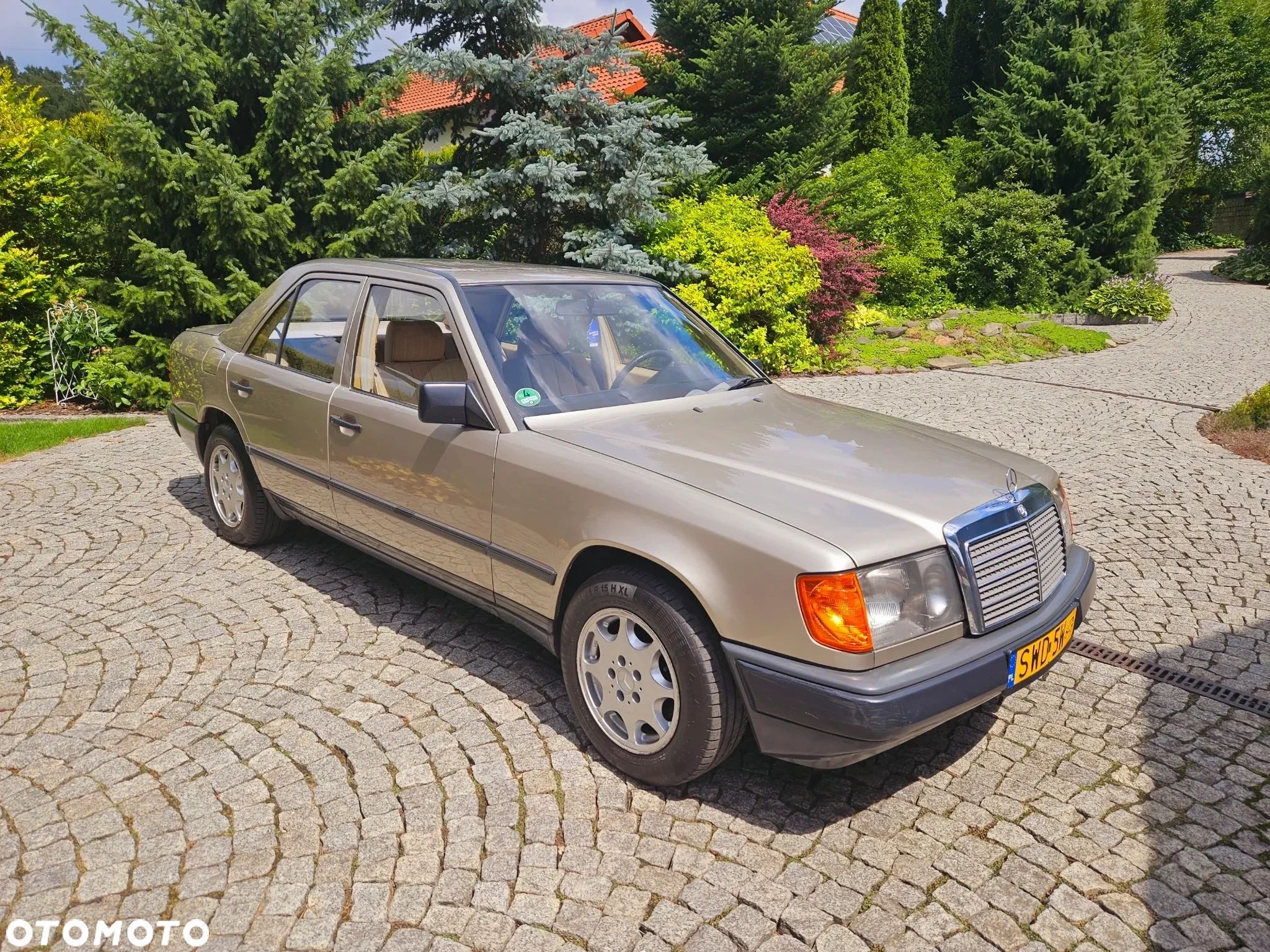 Mercedes-Benz W124 (1984-1993) - 1