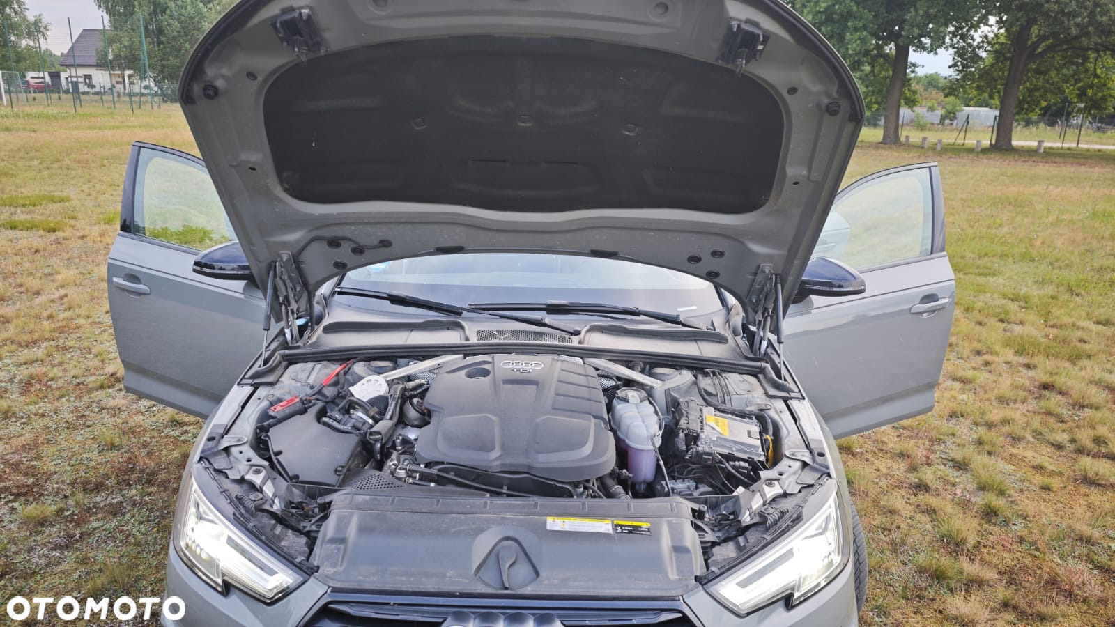 Audi A4 Allroad 40 TDI Quattro S tronic - 25