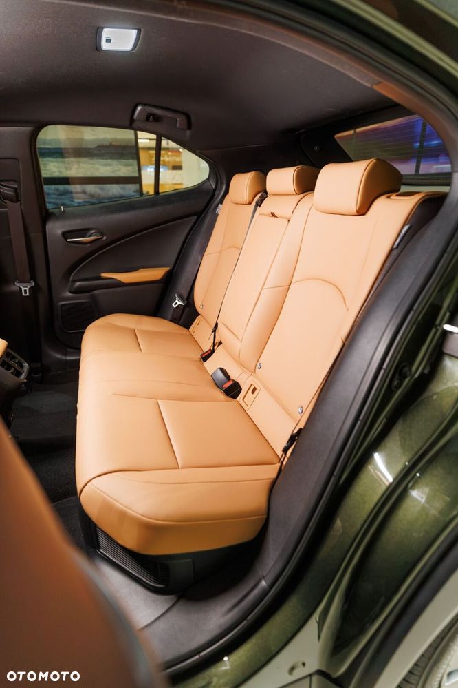Lexus UX 300h F Sport Design - 18
