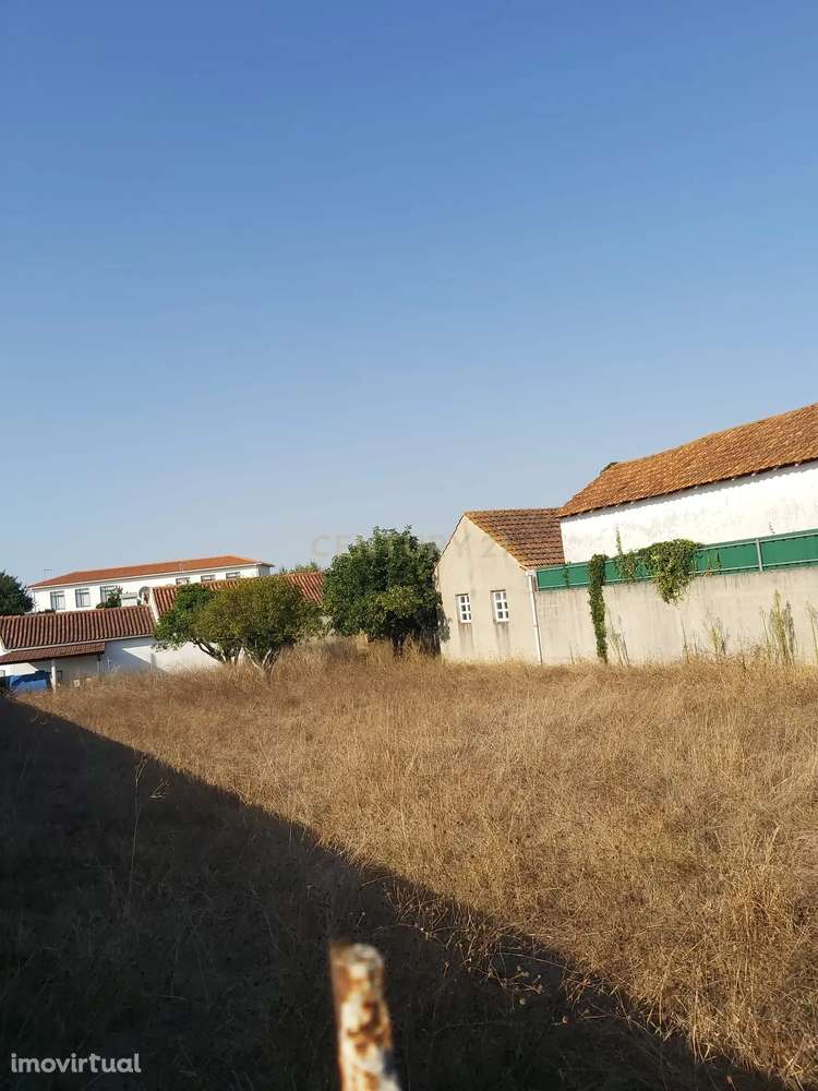 Excelente lote de Terreno || Calvaria - Grande imagem: 3/11