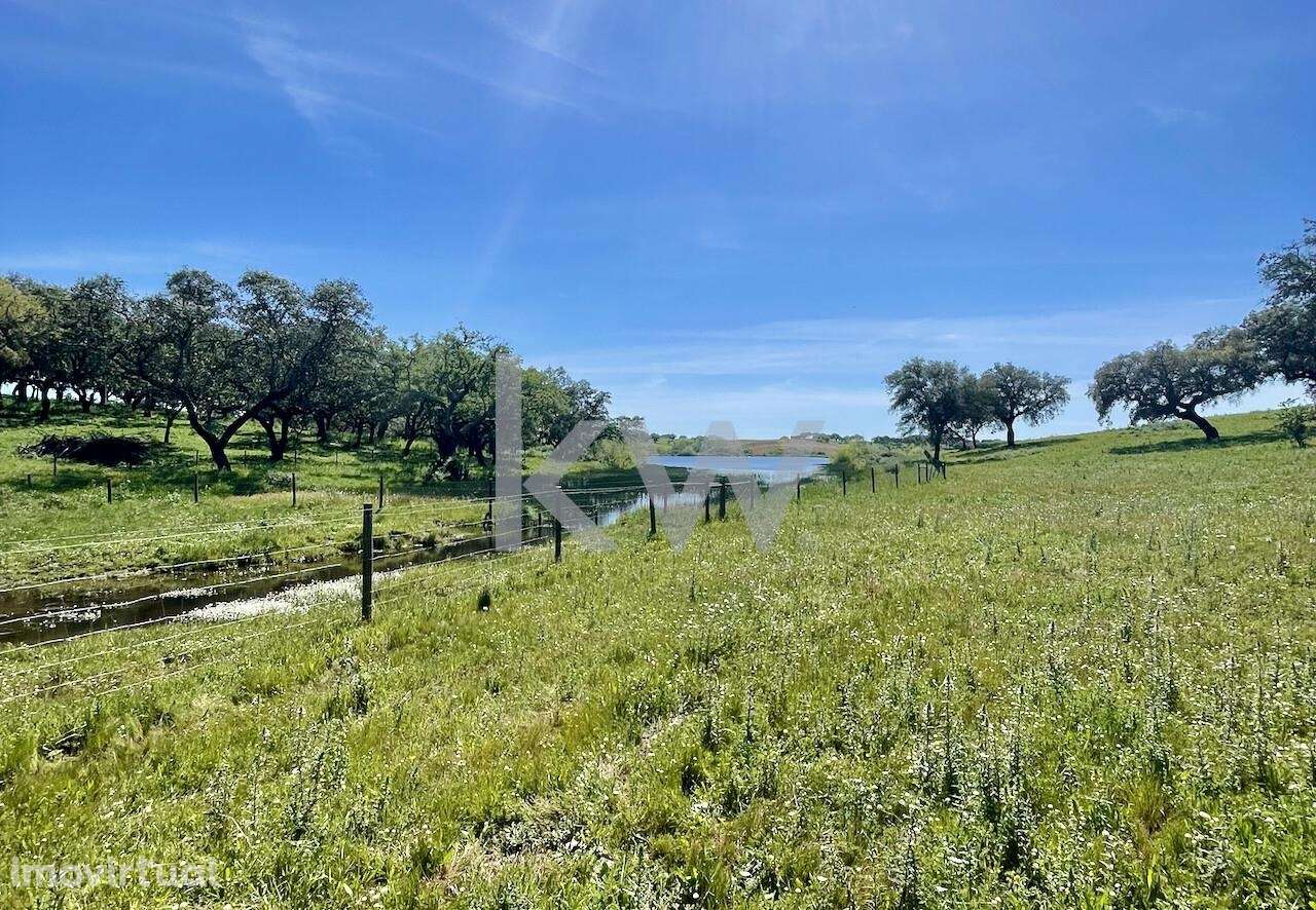 Herdade no coração do Alentejo de 307 hectares, com produção vinícola, - Grande imagem: 3/39
