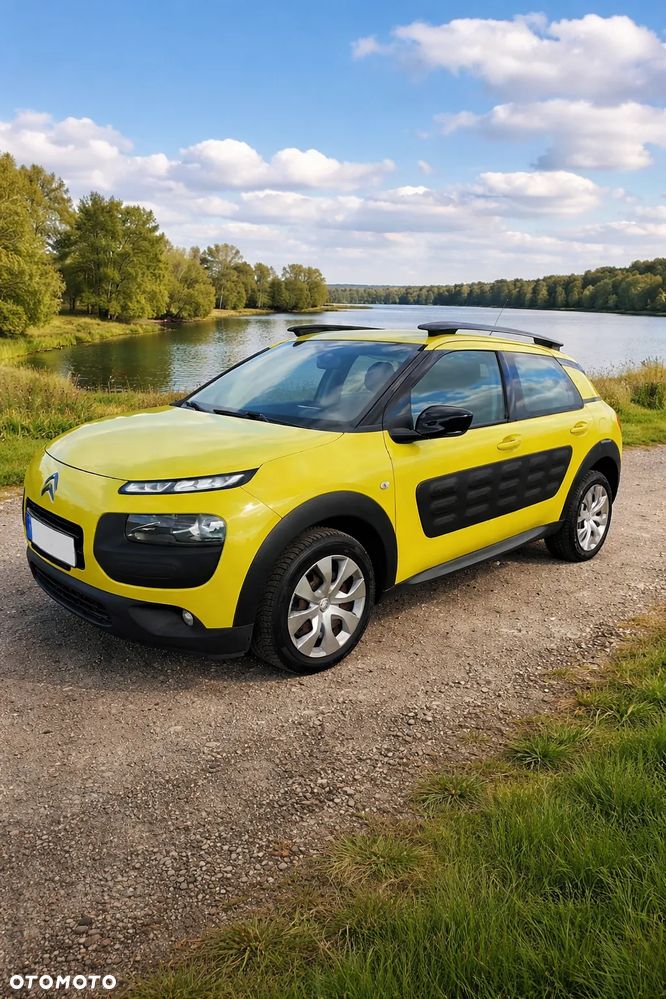 Citroën C4 Cactus PureTech 82 Feel Edition - 1