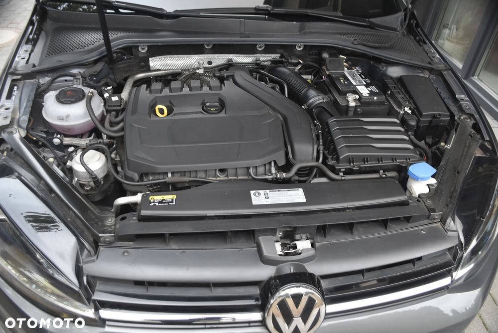 Volkswagen Golf - 19
