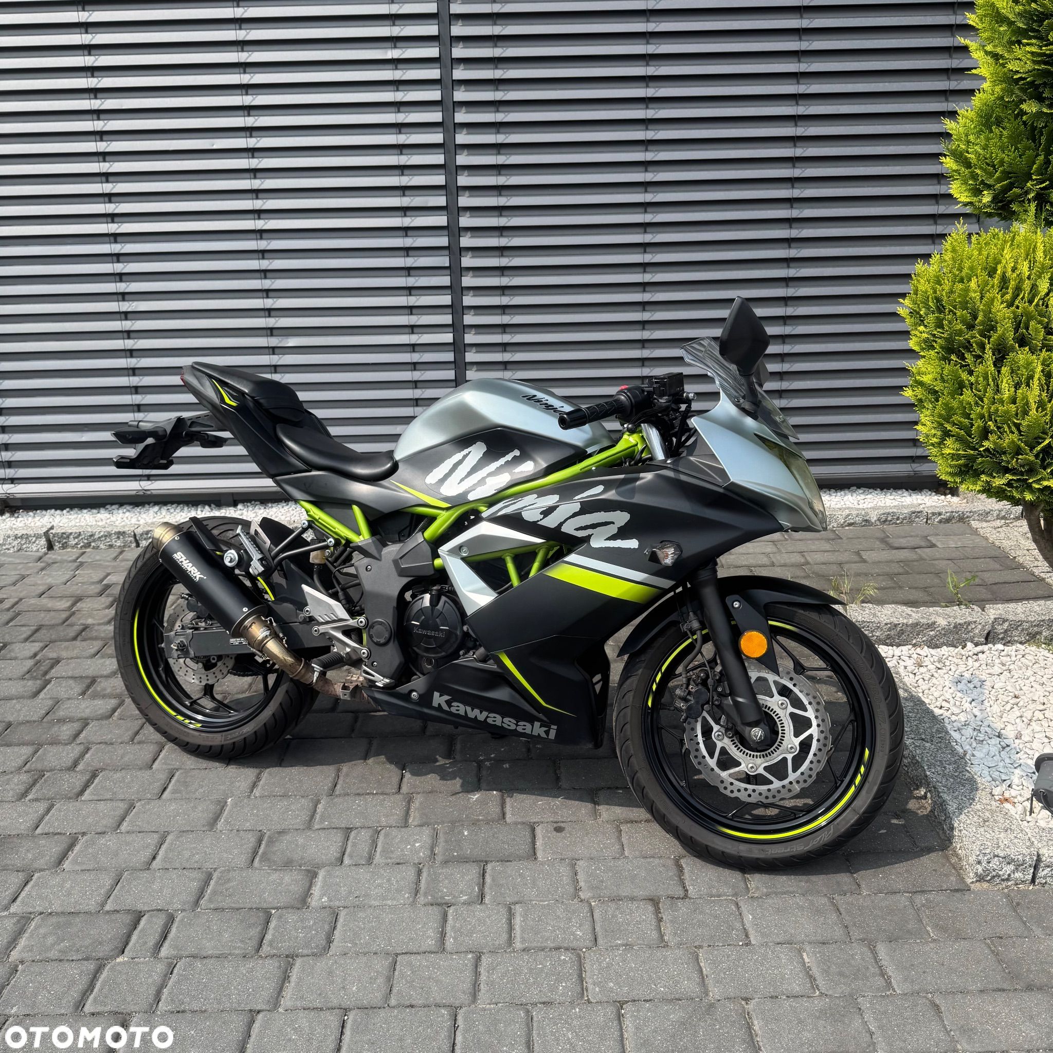 Kawasaki Ninja - 1