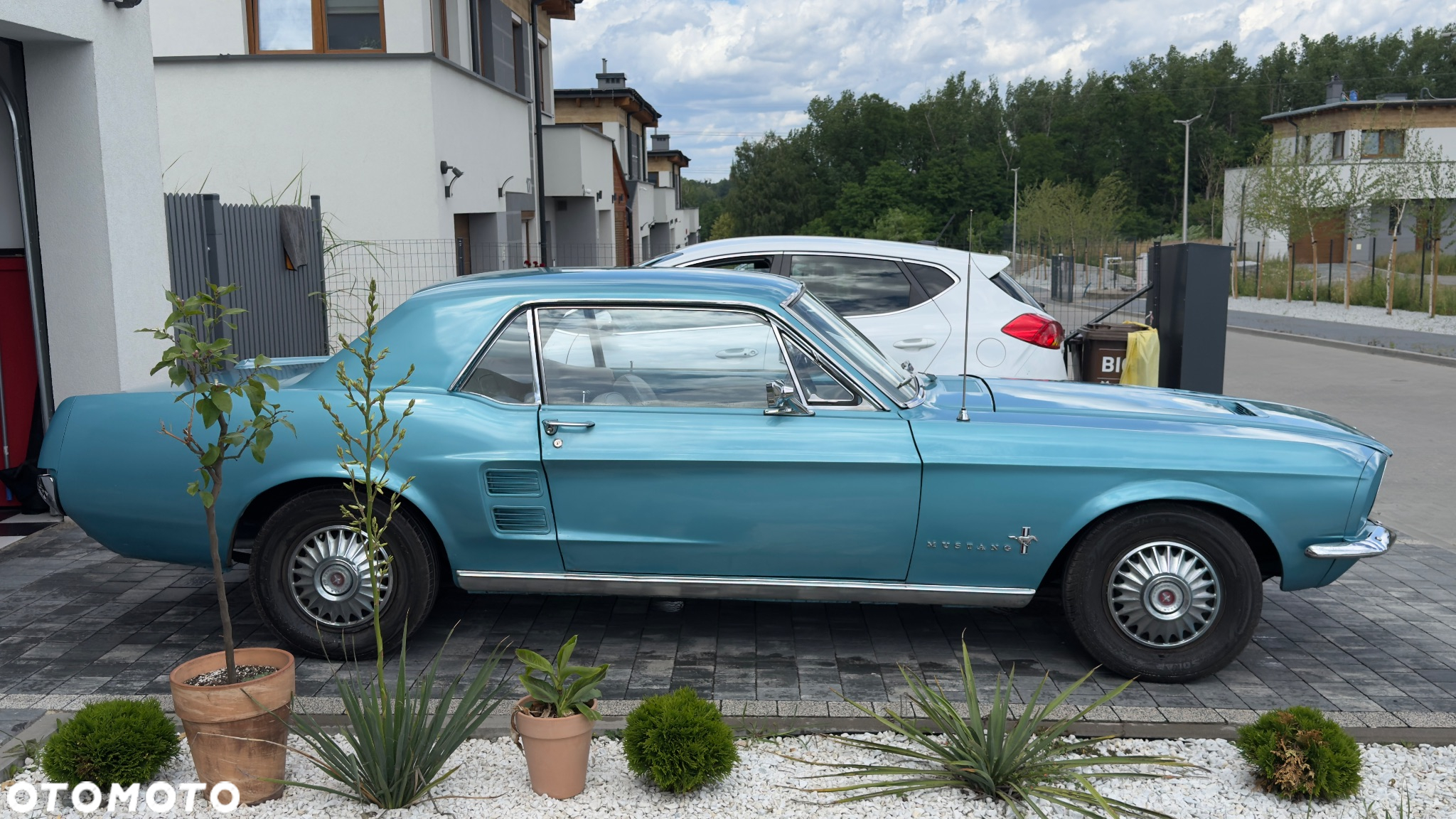 Ford Mustang - 2